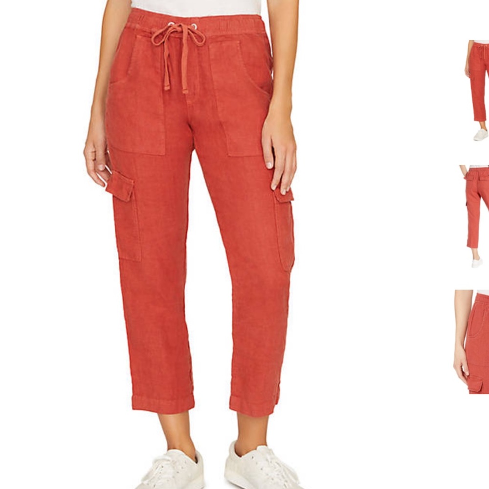 Sanctuary Discoverer cargo pants